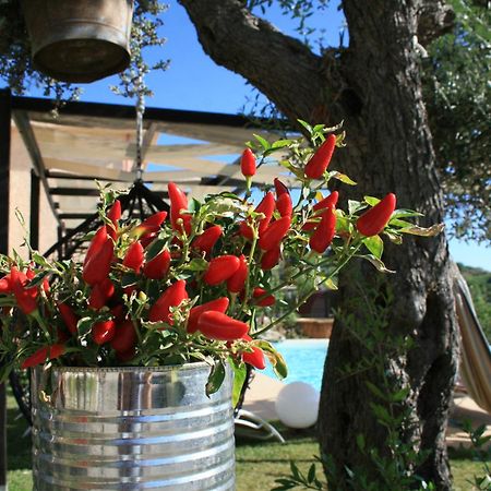 Il Podere Dell'Angelo Old Country House เบลเวเดเร มาริตตีโม ภายนอก รูปภาพ